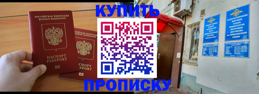 прописка штамп в Элисте
